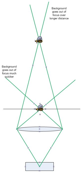 Focal Plane